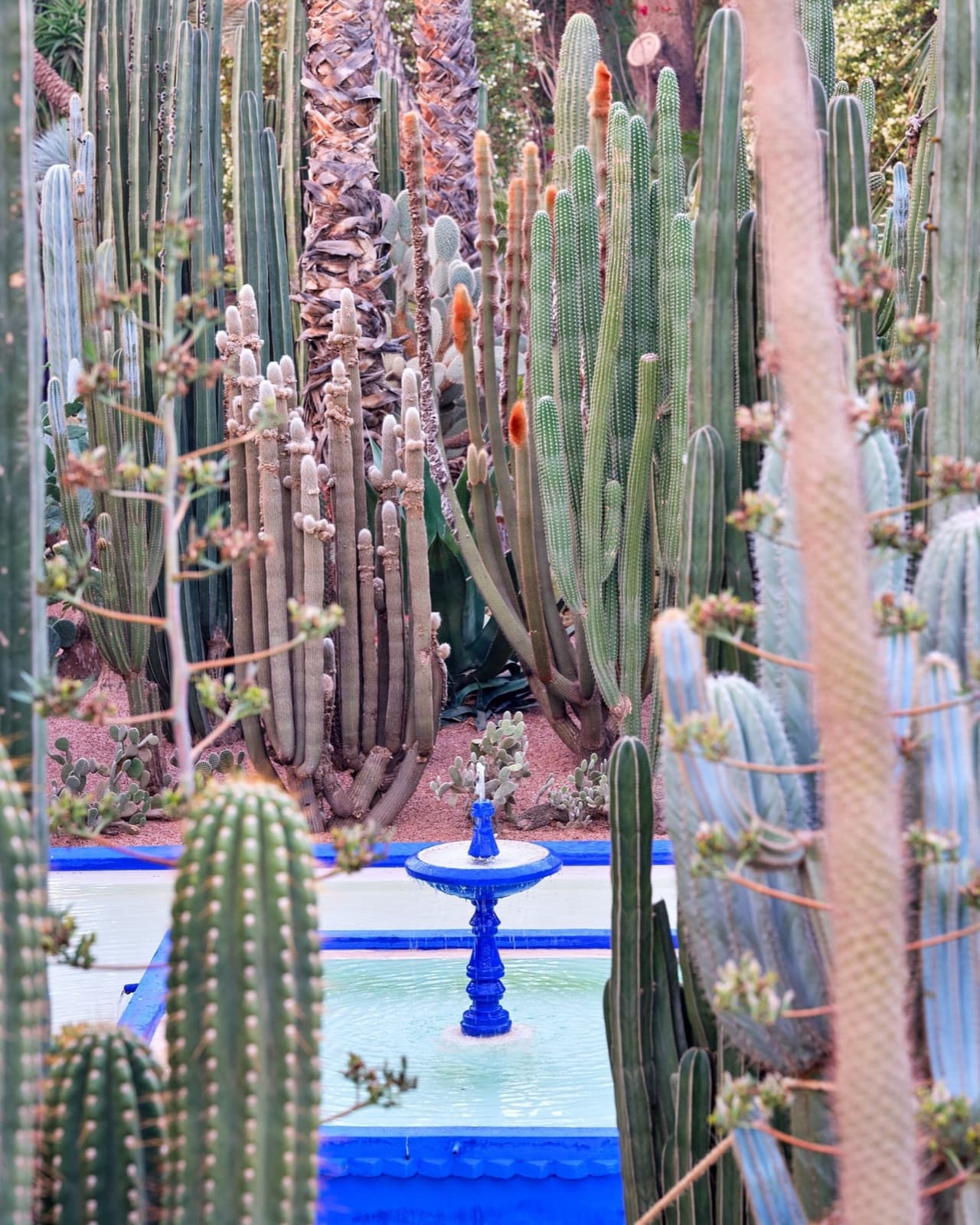 Jardin Majorelle