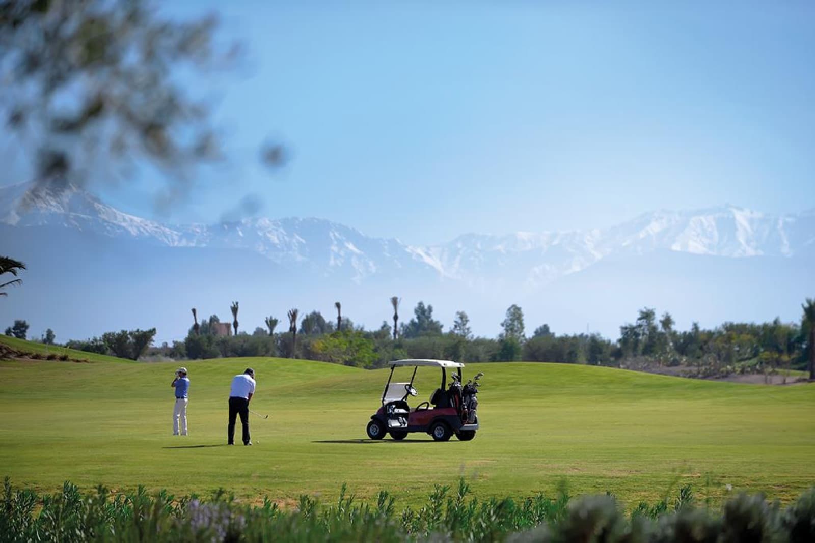 Le Fairmont Royal Palm Golf & Country Club